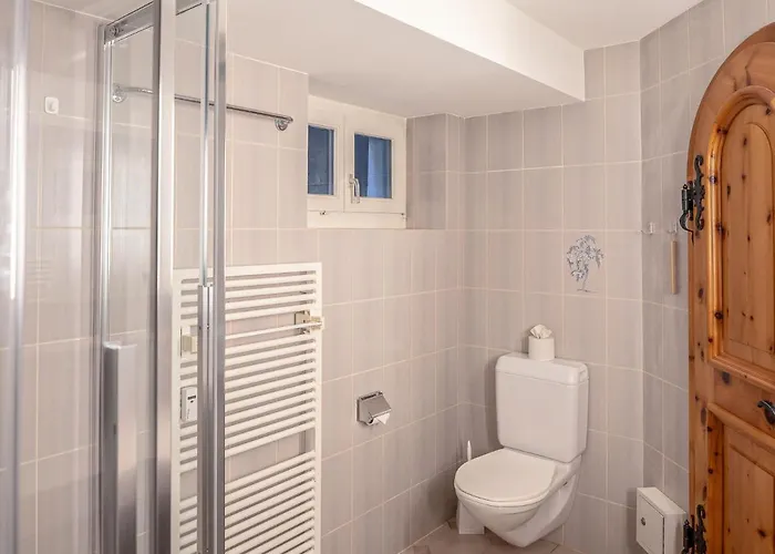 Chesa Anemona Al Lej By Interhome * St. Moritz