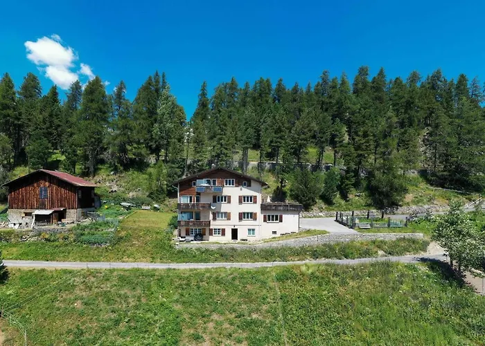 Chesa Anemona Al Lej By Interhome Apartment St. Moritz