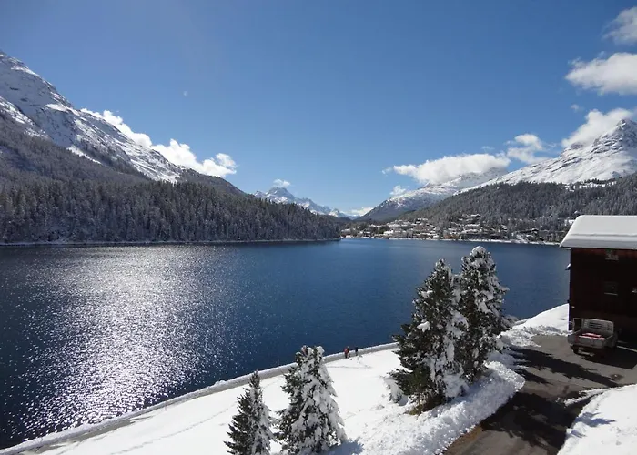 Apartamento Chesa Anemona Al Lej By Interhome